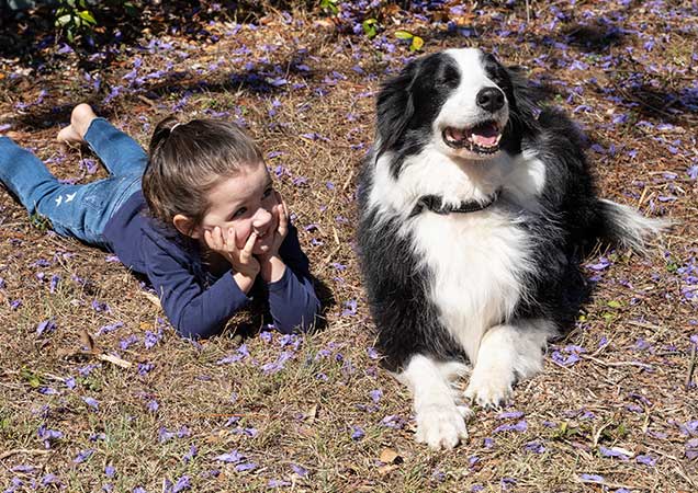 preventing dog bites children